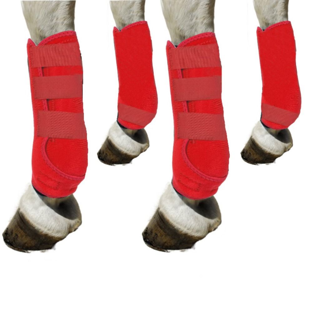 Brushing Boot Horse - 4 teile/satz Bunte Pferd Sport Stiefel