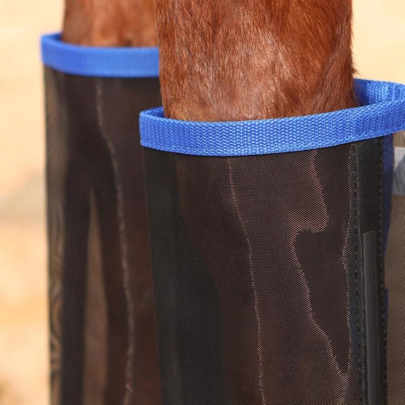 31BE Pferdefliegenstiefel-schü – Brushing Boot Horse Bewertung und Preis