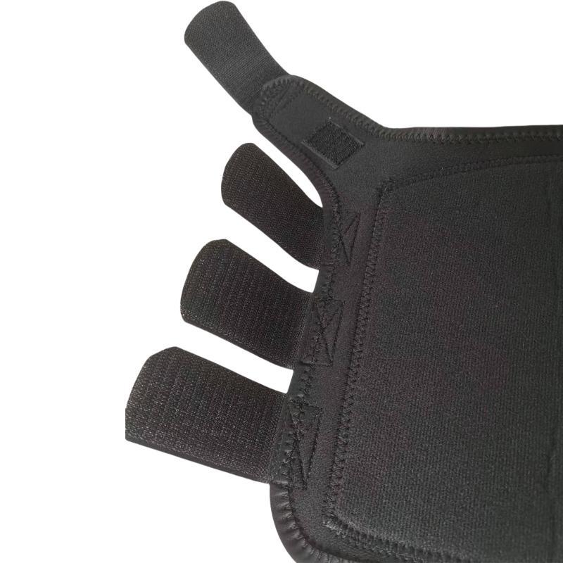 R6FE bürsten Pferdestiefel ver – Brushing Boot Horse Bewertung und Preis