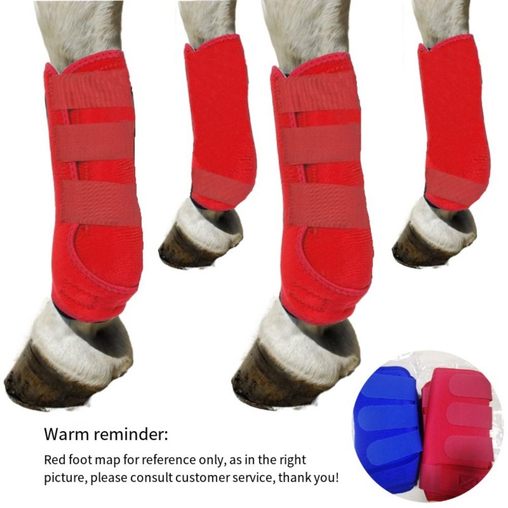 4 teile/satz Bunte Pferd Sport – Brushing Boot Horse Bewertung und Preis