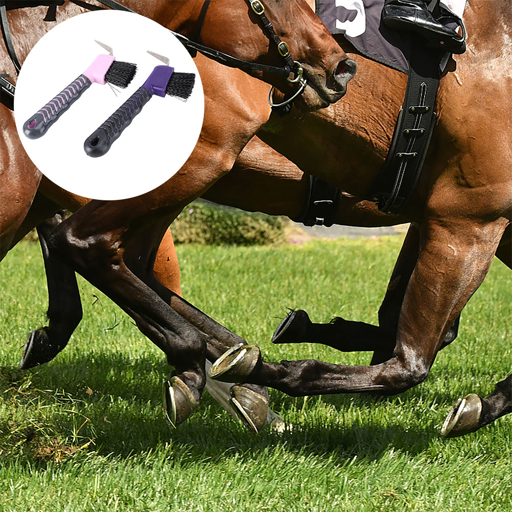 2er-Set Hufkratzer-Bürste aus  – Brushing Boot Horse Bewertung und Preis