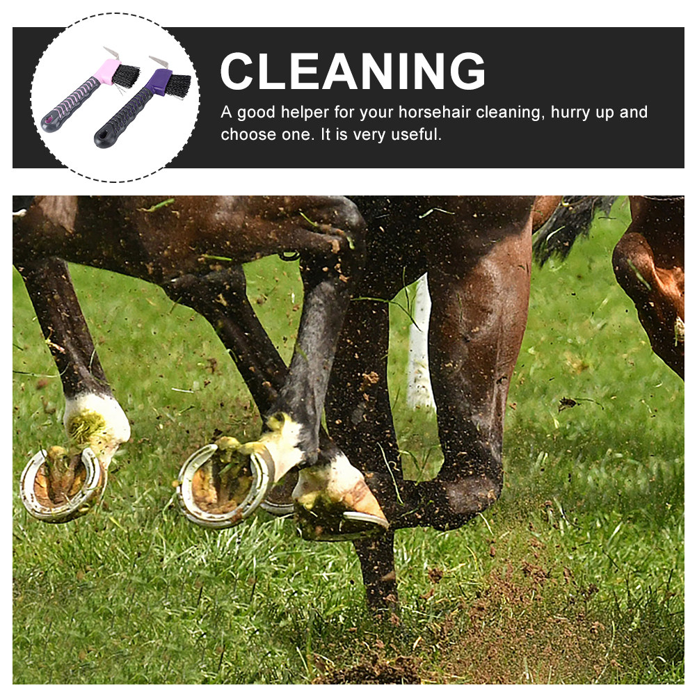 2er-Set Hufkratzer-Bürste aus  – Brushing Boot Horse Bewertung und Preis