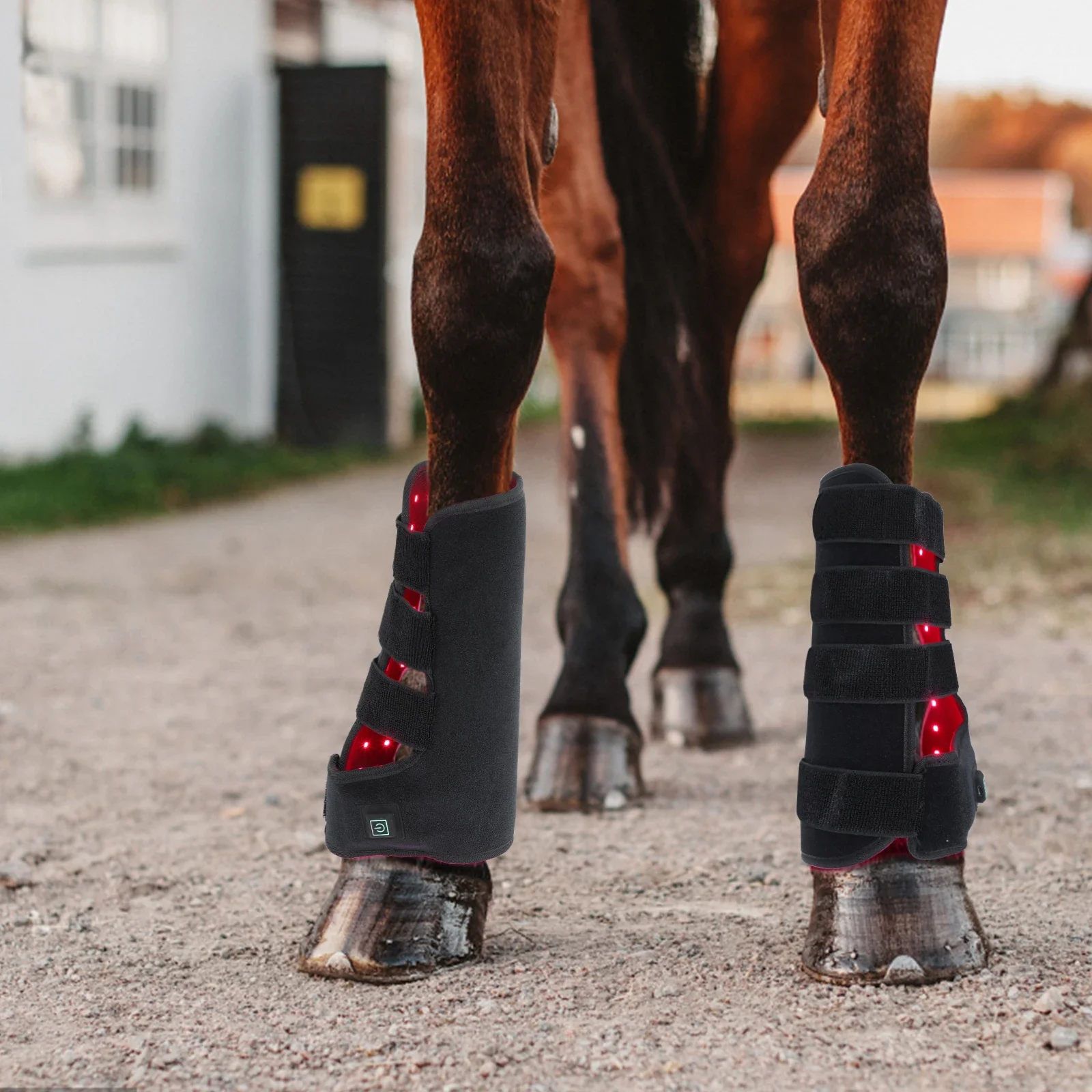 Neue 660nm 850nm Rotlichtthera – Brushing Boot Horse Bewertung und Preis