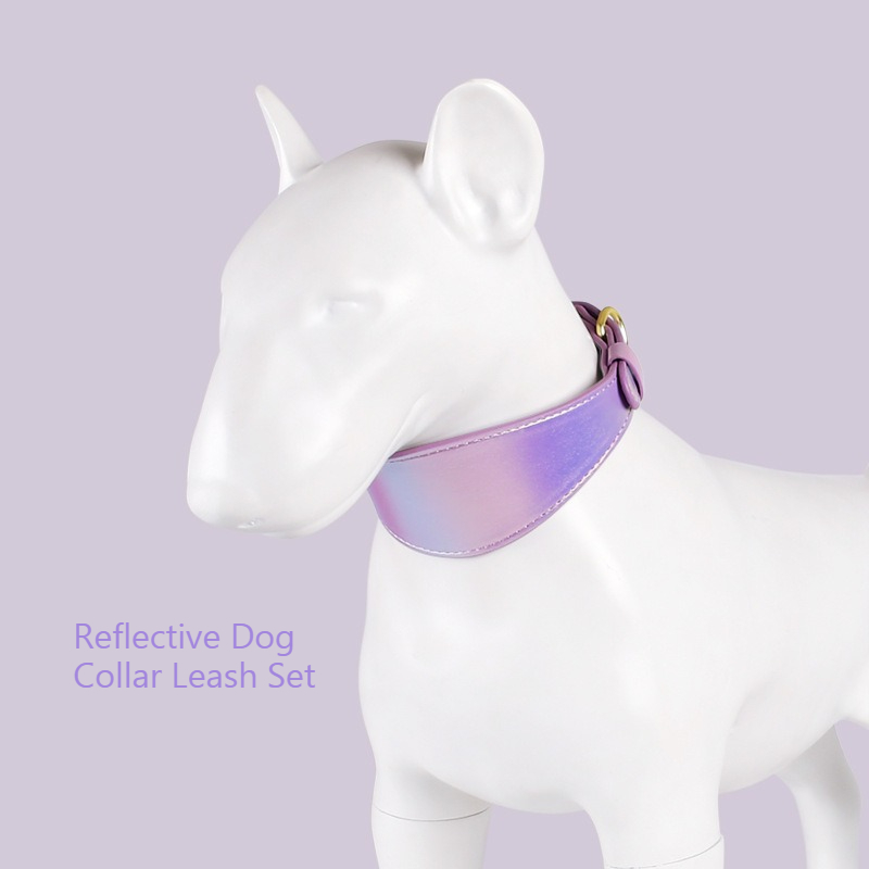 Reflektierendes Leder-Hundehal – Headcollar Rope Set Bewertung und Preis