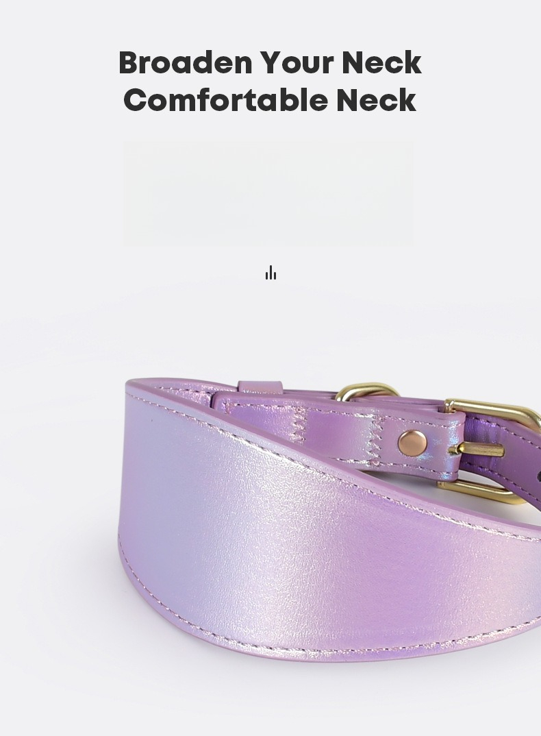 Reflektierendes Leder-Hundehal – Headcollar Rope Set Bewertung und Preis