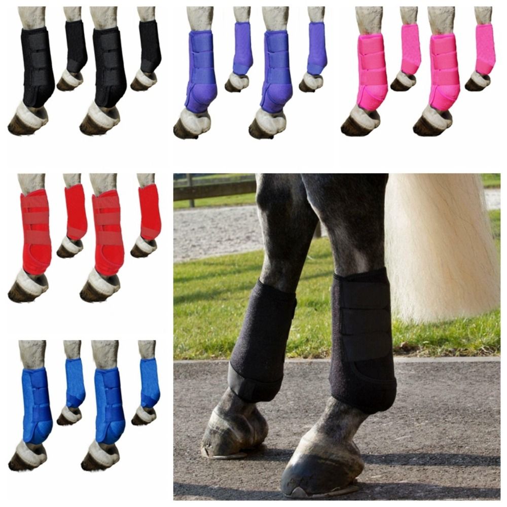 4-teiliges Set Bunte Pferde-Sp – Brushing Boot Horse Bewertung und Preis