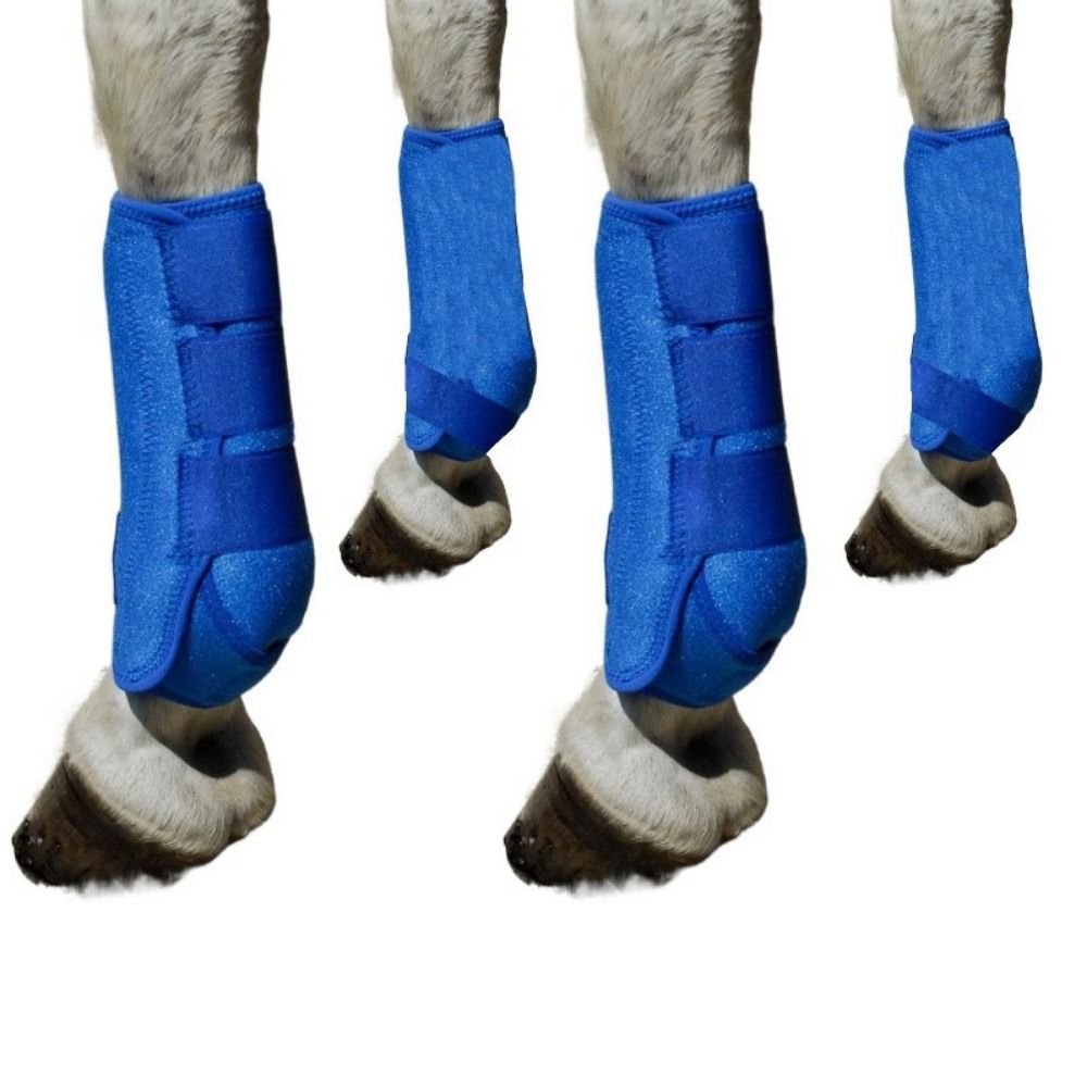 4-teiliges Set Bunte Pferde-Sp – Brushing Boot Horse Bewertung und Preis