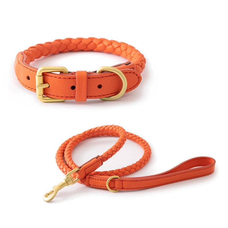 Verstellbares Geflochtenes Led – Headcollar Rope Set Bewertung und Preis