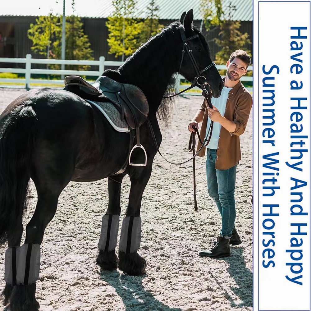 4er-Set atmungsaktive UV-Flieg – Brushing Boot Horse Bewertung und Preis