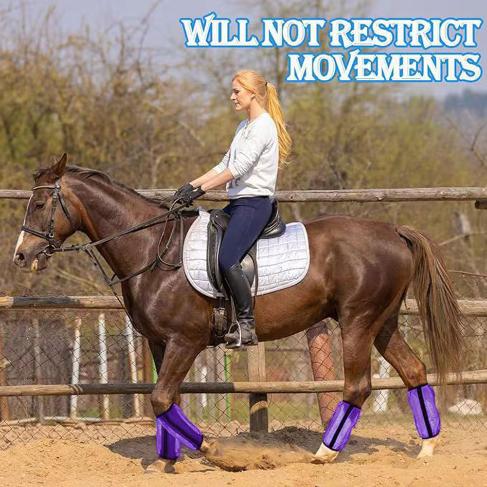4er-Set atmungsaktive UV-Flieg – Brushing Boot Horse Bewertung und Preis