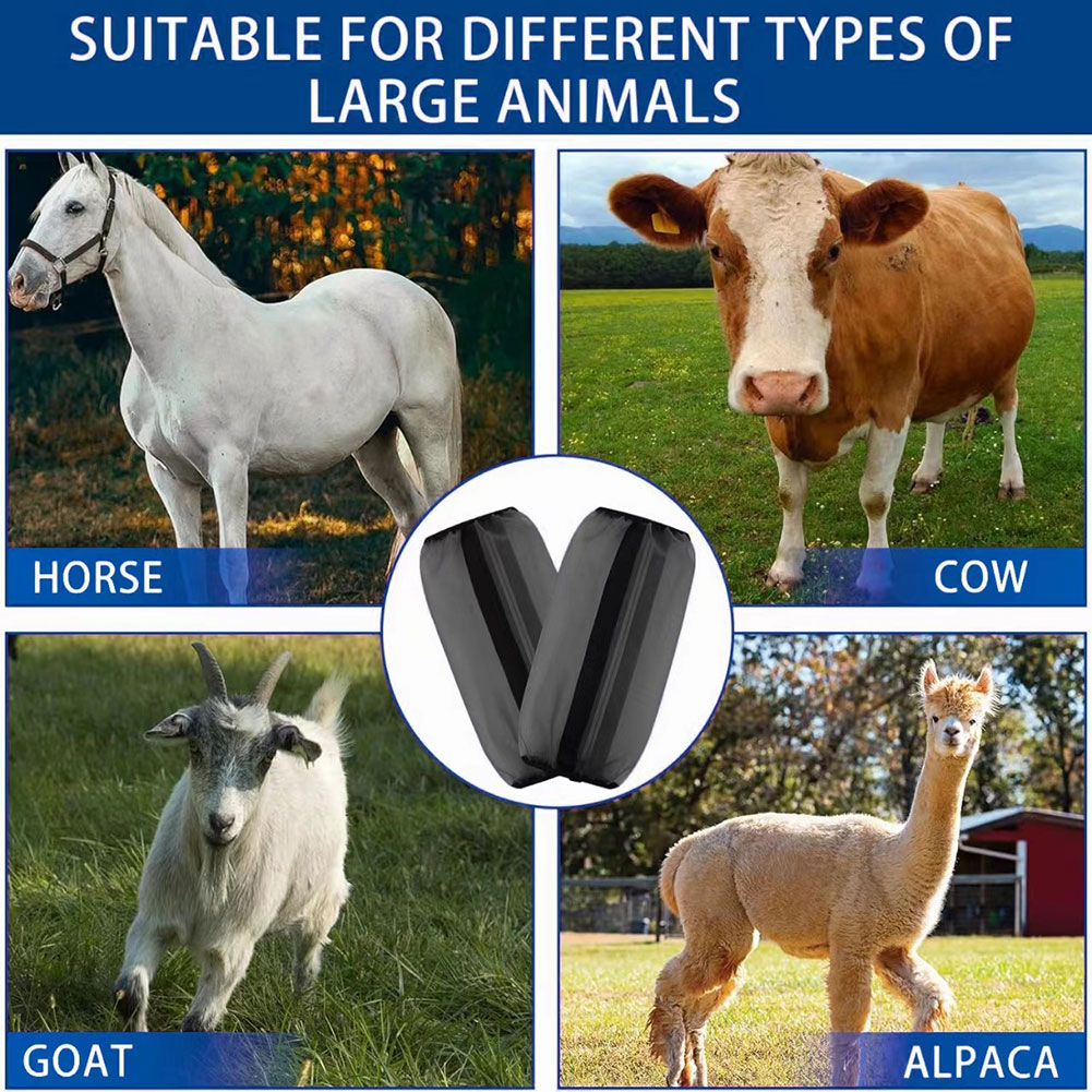 4er-Set atmungsaktive UV-Flieg – Brushing Boot Horse Bewertung und Preis